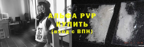 эйфоретик Вяземский