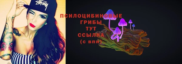 эйфоретик Вяземский