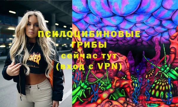 эйфоретик Вяземский
