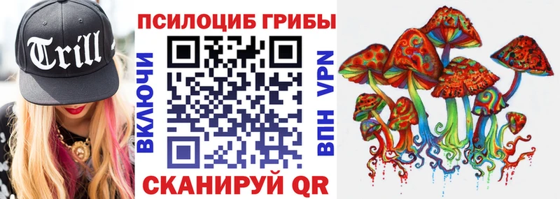 Галлюциногенные грибы мицелий  купить наркотики цена  mega ONION  Петропавловск-Камчатский 
